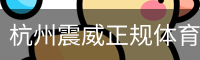 杭州震威正规体育体系